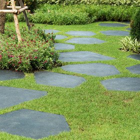 Pas japonais irrégulier