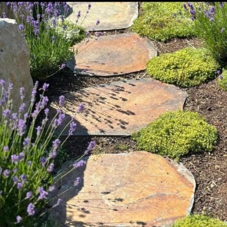 Pas japonais arrondi