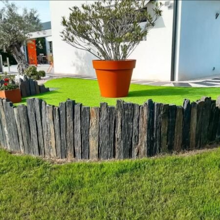 Publie une taupe dentelée